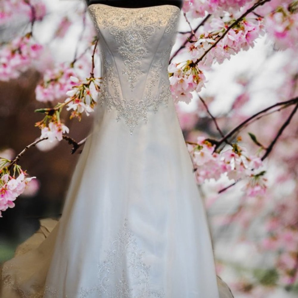 Mon Cheri Bridal Wedding Gown Size 10